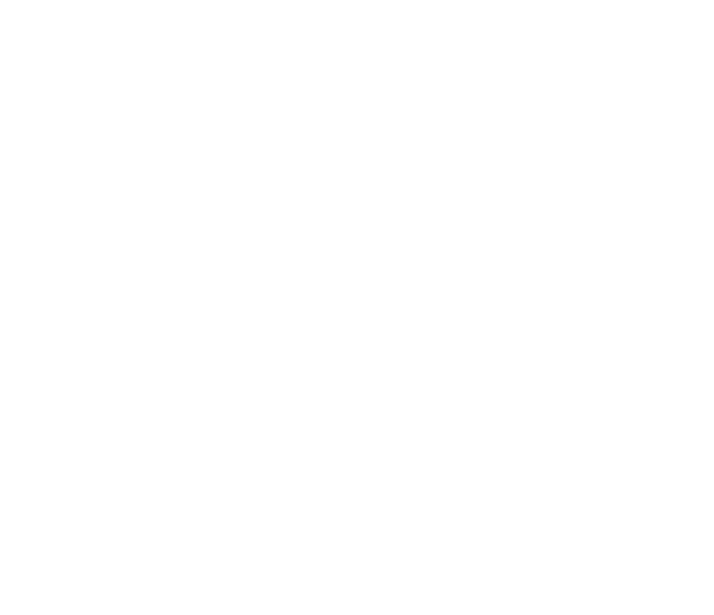 logo light